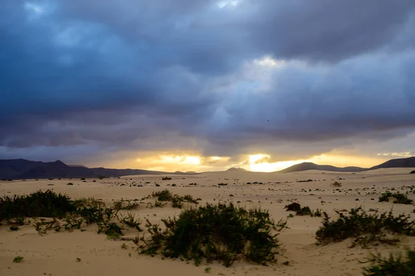 Uitzicht Witte Zandduinen Bij Corallejo Strand Bij Zonsondergang Fuerteventura Canarische — Stockfoto