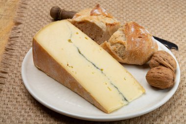 Peynir koleksiyonu, Fransız Morbier yarı yumuşak inek sütlü peynir ve siyah küf tabakası.