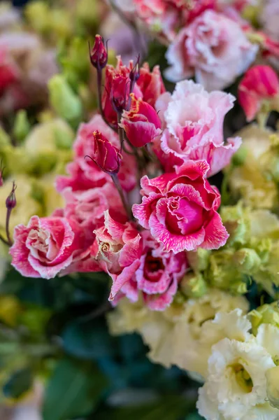 Buquê Colorido Flores Ustoma Lisianthus Genciana Pradaria Crescendo Estufa Holandesa — Fotografia de Stock