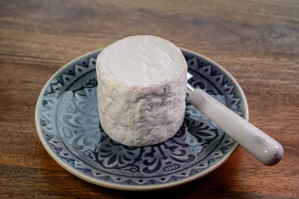 比利时Val Dieu修道院产的白模软牛奶奶酪Bouquet Des Moines — 图库照片