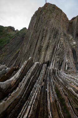 Zumaia 'nın Atlantik kıyısındaki alçak gelgitte, İspanya' nın Bask Bölgesi 'nde dik eğimli sinek jeolojik oluşumuna bakın.