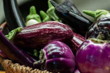 Çeşitli taze patlıcan sebzeleri, beyaz, grafiti, mor, yuvarlak patlıcan Violet.