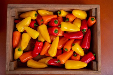 Taze kırmızı, turuncu, sarı tatlı biberli organik sebzeler yakın, yeni hasat yakın.