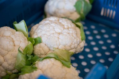 Büyük beyaz organik karnabahar, markette kutuda lahana.