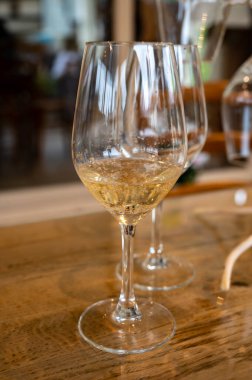 Reims yakınlarındaki Grand Cru şarap evinde soğuk brut şampanyası, köpüklü şarap kadehi, Fransa 'da şampanya turu.