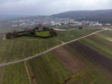 Winter cloudy view on Moulin de Verzenay and gran cru vineyards of famous champagne houses in Montagne de Reims near Verzenay, Champagne, wine making in France