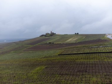 Winter cloudy view on Moulin de Verzenay and gran cru vineyards of famous champagne houses in Montagne de Reims near Verzenay, Champagne, wine making in France