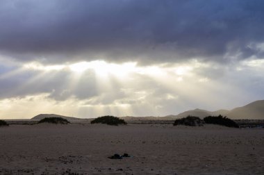 Kışın gün batımında Corallejo sahili yakınlarındaki beyaz kumulların manzarası, Fuerteventura, Kanarya adaları, İspanya