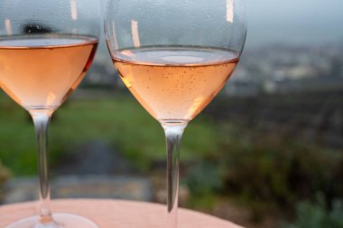 Fransa 'nın Epernay kenti yakınlarında, Şubat ayında Hautville' deki tepelik Pinot üzüm bağları manzaralı köpüklü, köpüklü bir gül şarabı tatmak..