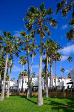 Winter sea and sun vacation in Caleta de Fuste touristic village on Fuerteventura, Canary islands, Spain