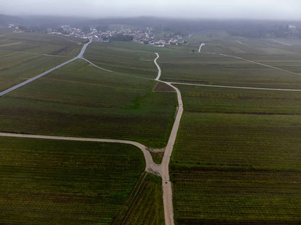 Panoramiczny Widok Lotu Ptaka Zachmurzony Krajobraz Dolina Winnic Pobliżu Ludes — Zdjęcie stockowe