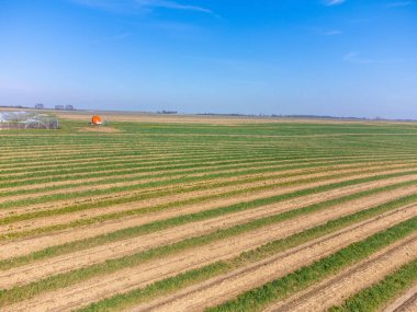 Yeşil kuşkonmaz sebzeleri ve Avrupa 'daki organik kuşkonmaz çiftliği ile foeld üzerine Aeriel görünümü