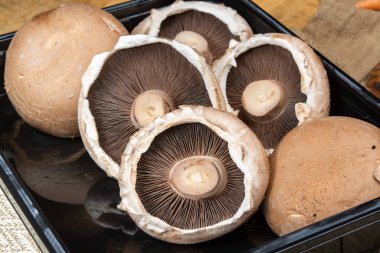 Lezzetli vejetaryen yemekleri, büyük kahverengi şampiyonlar Agaricus bisporus portobello mantarları.