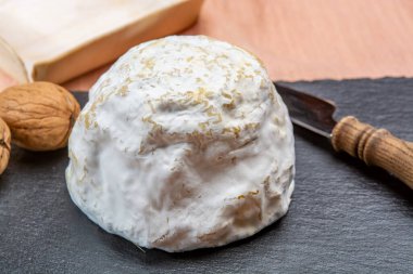 Peynir koleksiyonu, yumuşak inek Fransız peyniri küflü Gaperon zanaatkarlığı biberli ve sarımsaklı Auvergne, Fransa