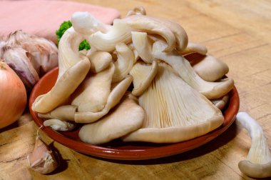 Tasty vegetarian food, fresh organic Pleurotus ostreatus, or oyster mushrooms, hiratake, or pearl oyster mushrooms close up