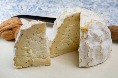 Peynir koleksiyonu, yumuşak inek Fransız peyniri küflü Gaperon zanaatkarlığı biberli ve sarımsaklı Auvergne, Fransa