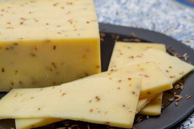 Hollanda peyniri, inek sütü, kurutulmuş aromatik kimyon tohumlu Hollanda gouda peyniri.