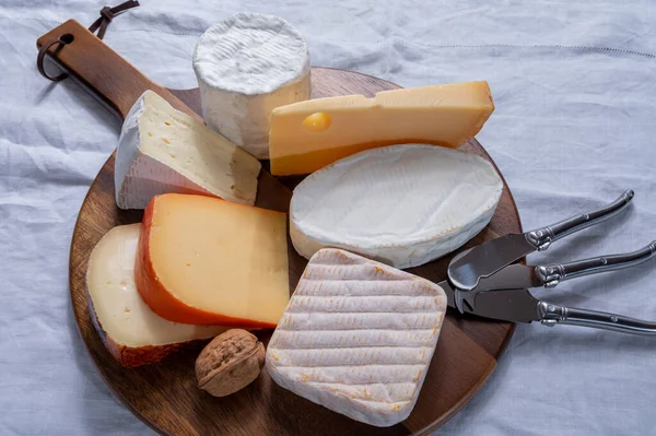 Collection of Belgian cheeses, soft yellow cow milk cheese with white mold from Bruges, bouquet des moines from Abbey of Val-Dieu, creamy cheese and beer cheeses, tasting board