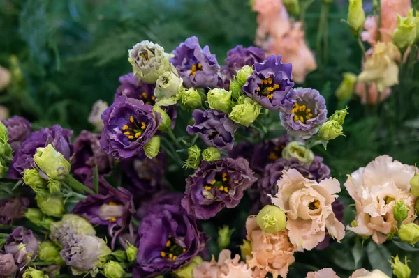 Buchet Colorat Flori Ustoma Lisianthus Sau Prerie Gentian Creștere Seră — Fotografie, imagine de stoc