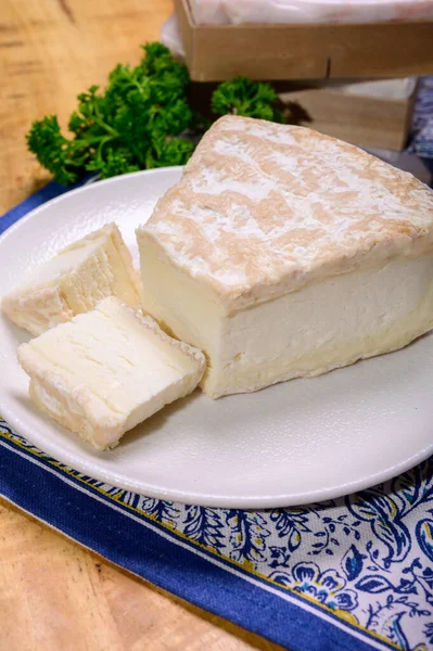 Piece French Soft Ripened White Mold Cow Milk Cheese Brie — Stok fotoğraf