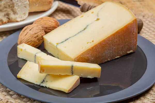 Kolekce Sýrů Francouzský Sýr Morbier Poloměkký Kravský Sýr Černou Plísní — Stock fotografie