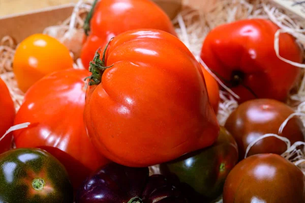 夏天普罗旺斯农贸市场上木箱中的成熟的法国西红柿品种 — 图库照片