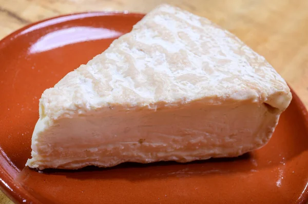 Piece French Soft Ripened White Mold Cow Milk Cheese Brie — Stock fotografie