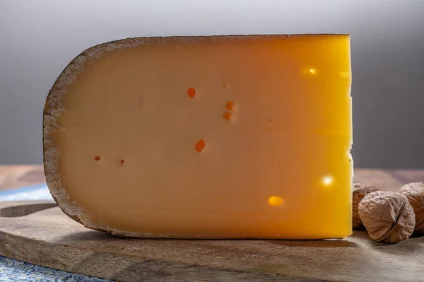 奶酪系列 比利时的老黄牛乳酪 来自布鲁日 奶酪和啤酒搭配 — 图库照片
