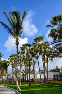 Winter sea and sun vacation in Caleta de Fuste touristic village on Fuerteventura, Canary islands, Spain