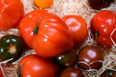 Variety of tasty ripe french tomatoes in wooden boxes on farmers market in Provence in summer close up
