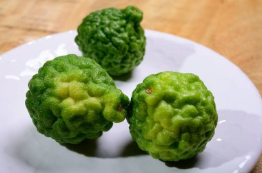 Citrus hystrix, green kaffir lime or makrut lime, citrus fruit native to tropical Southeast Asia. Fruit and leaves used in Southeast Asian cuisine, essential oil is used in perfumery for intense citrus fragrance.