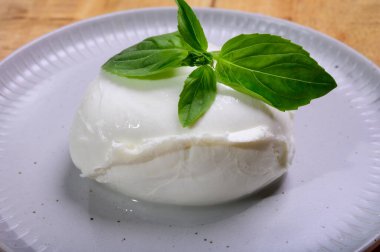 White ball of Italian soft cheese Mozzarella di Bufala Campana served with fresh green basil close up