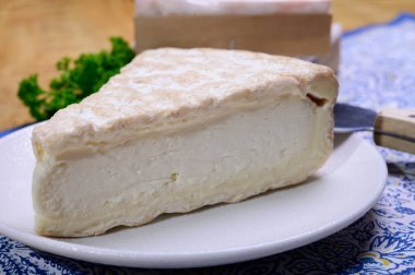 Piece of french soft-ripened white mold cow milk cheese brie produced in Seine-et-Marne region, France, close up