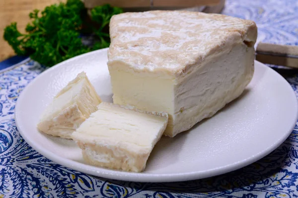 Pedaço Queijo Leite Vaca Mofo Branco Amadurecido Mole Francês Produzido — Fotografia de Stock