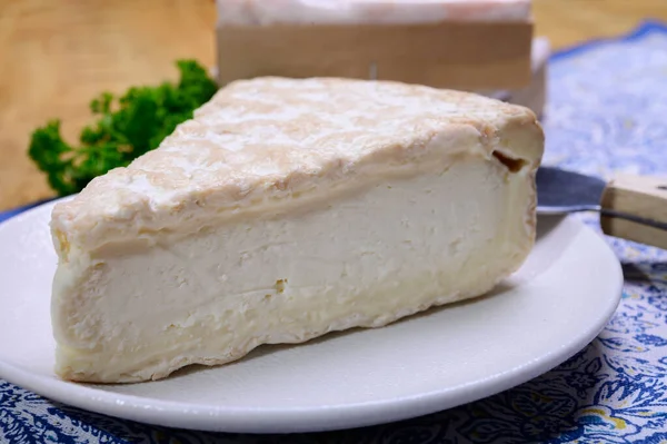Piece French Soft Ripened White Mold Cow Milk Cheese Brie — Zdjęcie stockowe