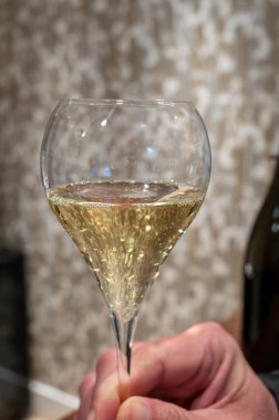 Tasting glass with cold brut Champagne sparkling wine in cellars of gran cru wine house in near Reims, wine tour in Champagne, France