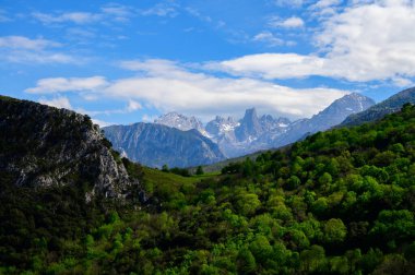 Kuzey İspanya 'nın Asturias kentindeki Picos de Europa' nın Macizo Orta Bölgesi 'nde yer alan Paleozoik Çağ' dan kalma kireçtaşı zirvesi Naranjo de Bulnes veya Picu Urriellu 'nun görüntüsü