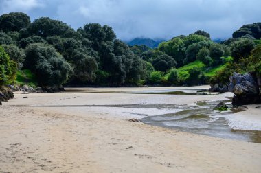 Playa de Poo 'ya bakın. Llanes yakınlarındaki gelgit sırasında, Asturias' ın yeşil kıyıları, Kuzey İspanya 'nın beyaz kumlu sahilleri, kayalıkları, gizli mağaraları, yeşil tarlaları ve dağları ile birlikte..