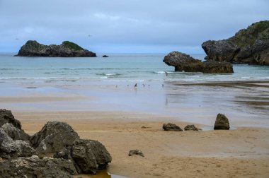 Celorio köyündeki Playa de Palombina Las Camaras 'ın manzarası, Kuzey İspanya, Asturias' ın yeşil kıyıları, kumlu plajları, kayalıkları, gizli mağaraları, yeşil tarlaları, ormanları ve dağları olan.