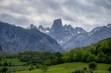Kuzey İspanya 'nın Asturias kentindeki Picos de Europa' nın Macizo Orta Bölgesi 'nde yer alan Paleozoik Çağ' dan kalma kireçtaşı zirvesi Naranjo de Bulnes veya Picu Urriellu 'nun görüntüsü