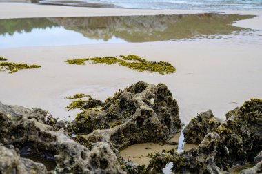 Celorio 'daki Playa de Borizo' daki kayalara bakın. Kuzey İspanya, Asturias 'ın yeşil kıyıları. Beyaz kumlu plajlar, uçurumlar, gizli mağaralar, yeşil tarlalar, ormanlar ve dağlar..
