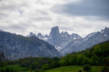 Kuzey İspanya 'nın Asturias kentindeki Picos de Europa' nın Macizo Orta Bölgesi 'nde yer alan Paleozoik Çağ' dan kalma kireçtaşı zirvesi Naranjo de Bulnes veya Picu Urriellu 'nun görüntüsü