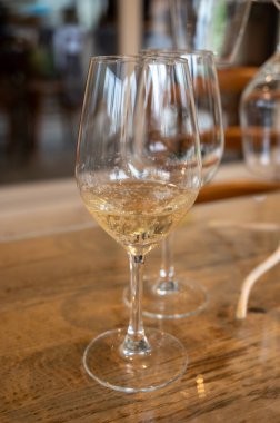 Reims yakınlarındaki Grand Cru şarap evinde soğuk brut şampanyası, köpüklü şarap kadehi, Fransa 'da şampanya turu.