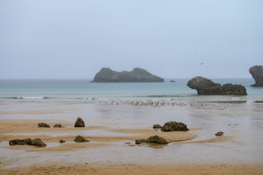 Celorio köyündeki Playa de Palombina manzarası, Kuzey İspanya, Asturias 'ın yeşil kıyıları, kumlu plajları, uçurumları, gizli mağaraları, yeşil tarlaları, ormanları ve dağları olan.
