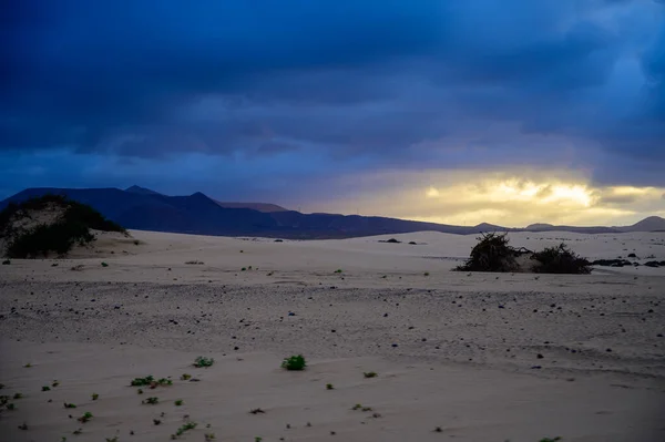 スペイン カナリア諸島 フエルテベントゥラ島 日没の冬のコーラレホビーチ近くの白い砂丘で見る — ストック写真