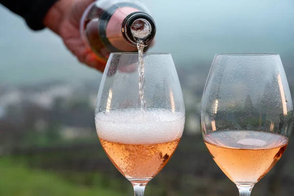 Tasting Premier Cru Sparkling Rose Wine Bubbles Champagne Outdoor View — Fotografia de Stock