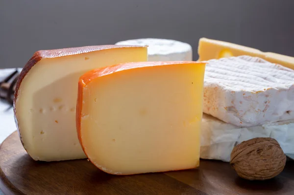 收集比利时奶酪 来自布鲁日的带有白色霉菌的软黄牛乳酪 来自瓦尔迪厄修道院的月桂花 乳酪和啤酒乳酪 味觉板 — 图库照片
