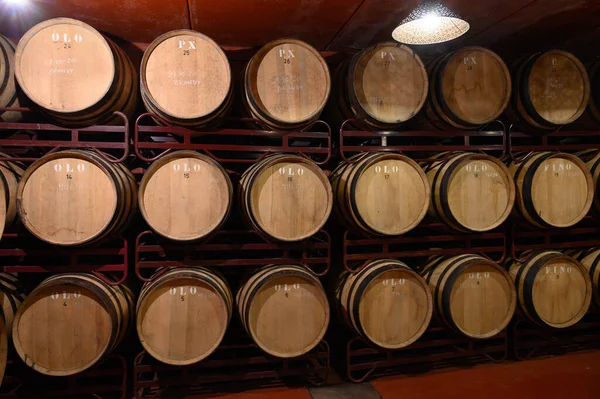 Produktion Von Jerez Xeres Sherry Weinen Französischen Eichenfässern Sherry Dreieck — Stockfoto