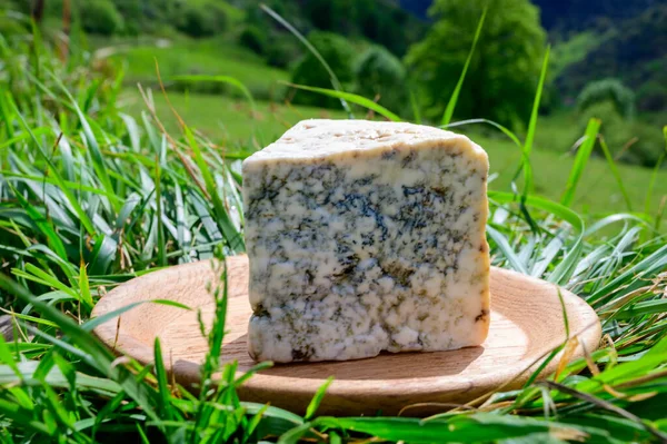 Cabrales Hantverksmässig Blå Ost Framställd Mjölkbönder Landsbygden Asturien Spanien Komjölk — Stockfoto