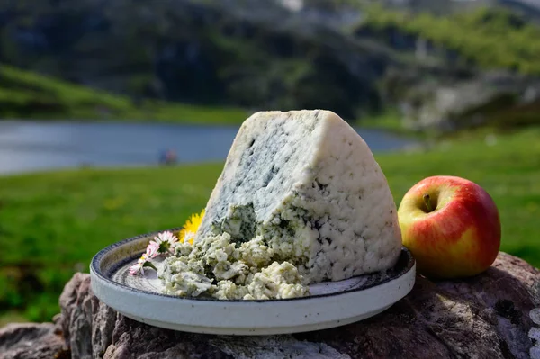 卡布拉莱斯 西班牙阿斯图里亚斯农村奶农用牛奶或与山羊混合制成的手工蓝奶酪 羊奶与Picos Europa山和Covadonga湖混合而成 — 图库照片